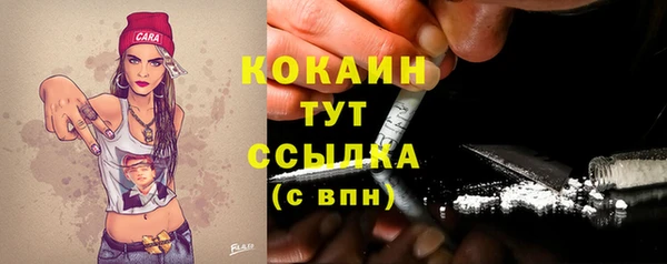 сатива Нея