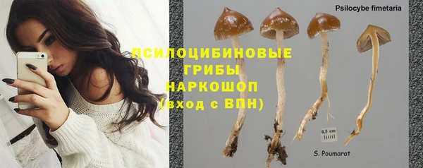 сатива Нея