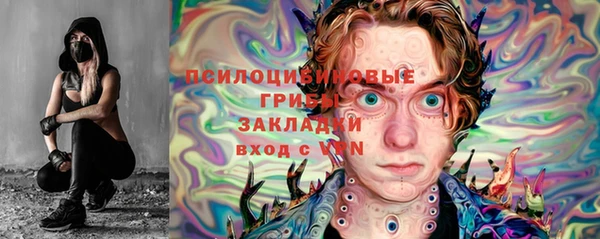 сатива Нея