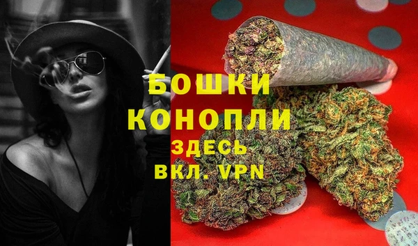 сатива Нея