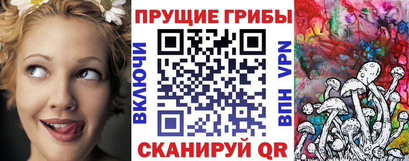 Псилоцибиновые грибы Magic Shrooms  blacksprut   Лермонтов  наркотики 