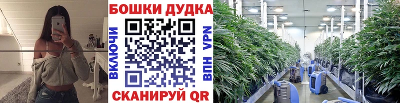 blacksprut как войти  продажа наркотиков  Лермонтов  МАРИХУАНА гибрид 